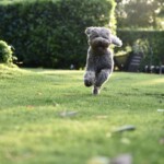 DSC_4971