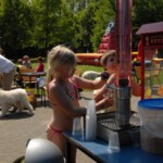 dddag201036