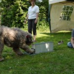 dddag201048
