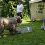 dddag201049
