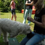 dddag201056