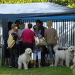 dddag201079