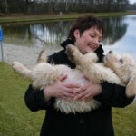 doggies-337