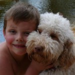 doggies-806