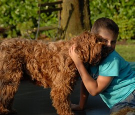 img1503091950