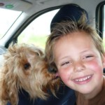on-the-way-home