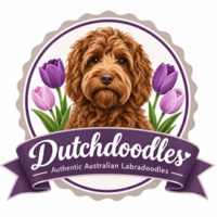 Dutchdoodles Logo